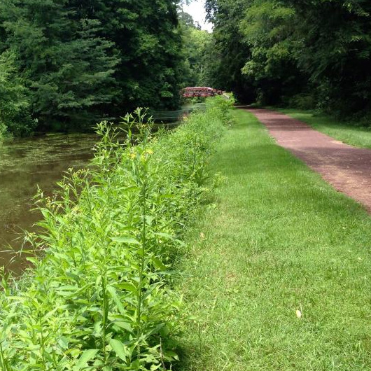 Delaware Canal State Park