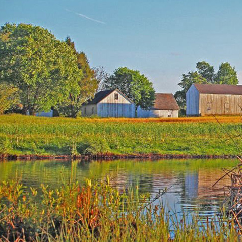 Lower Makefield Township